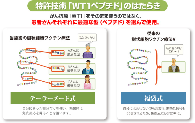 WT1ペプチドイメージ