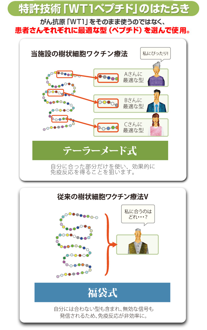 WT1ペプチドイメージ