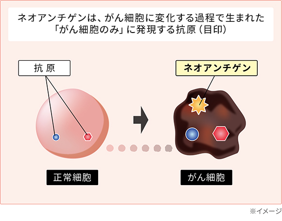 ネオアンチゲンとは？