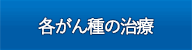 各がん種の治療