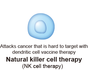 Attacks cancer that is hard to target with
dendritic cell vaccine therapy Natural killer cell therapy (NK cell therapy)  