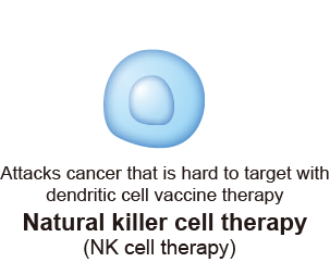 Attacks cancer that is hard to target with
dendritic cell vaccine therapy Natural killer cell therapy (NK cell therapy)  