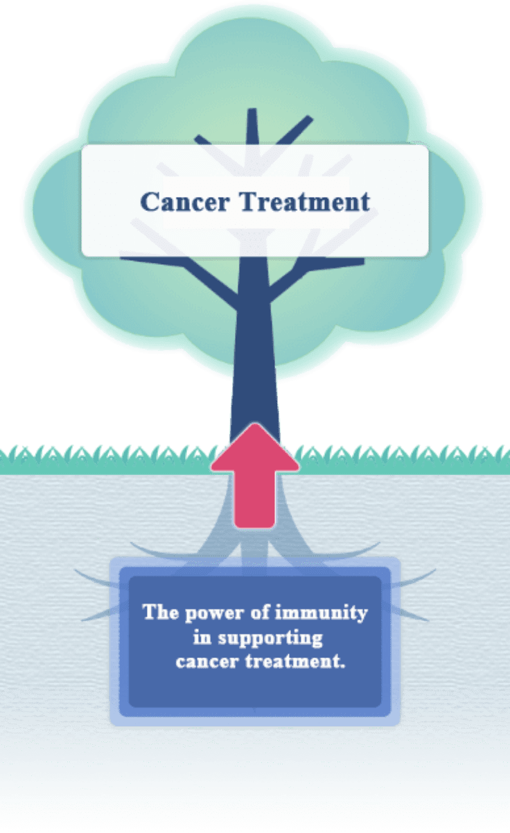 Cancer Treatment: The power of immunity in supporting cancer treatment.