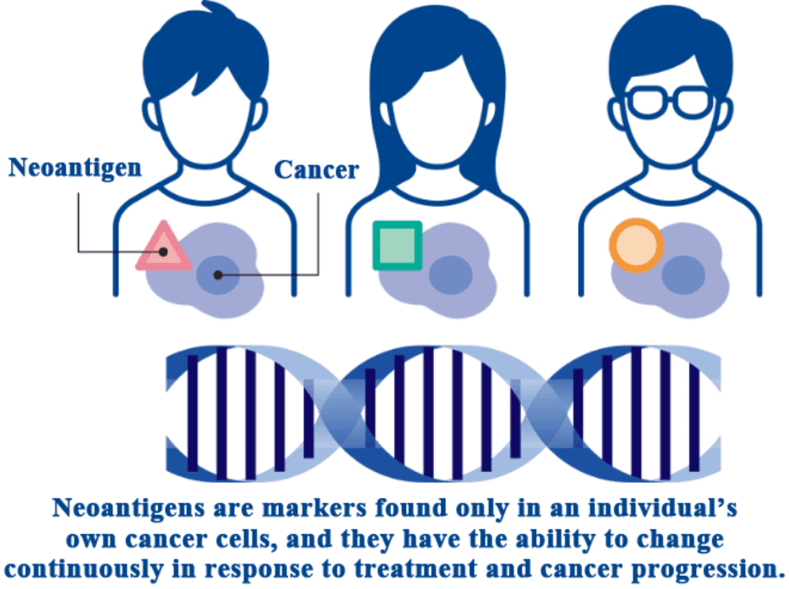 Neoantigens are markers found only in an individual's own cancer cells, and they have the ability to change continuously in response to treatment and cancer progression.