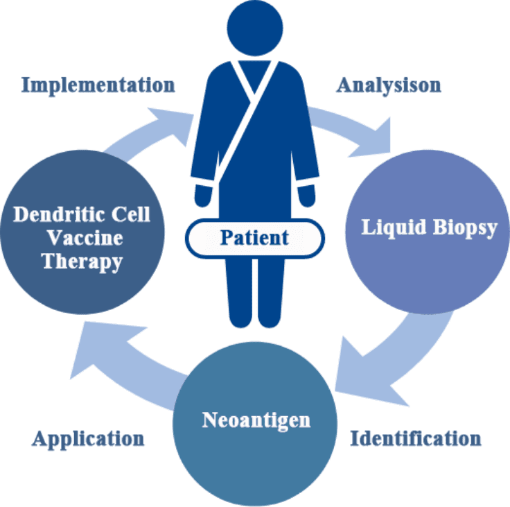 Analysis / Liquid Biopsy / Neoantigen Identification / Dendritic Cell Vaccine Therapy