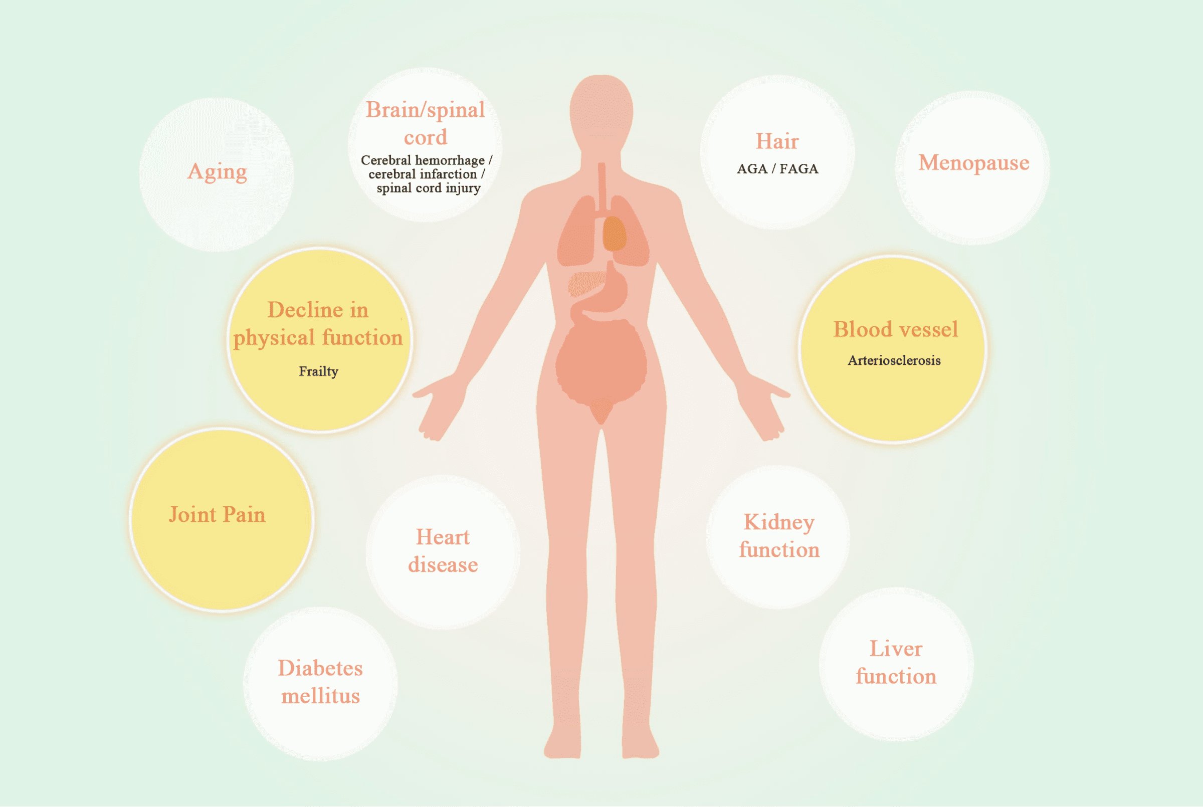 The Promising Potential of Stem Cell Therapy Across Various Fields