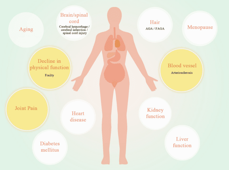 The Promising Potential of Stem Cell Therapy Across Various Fields