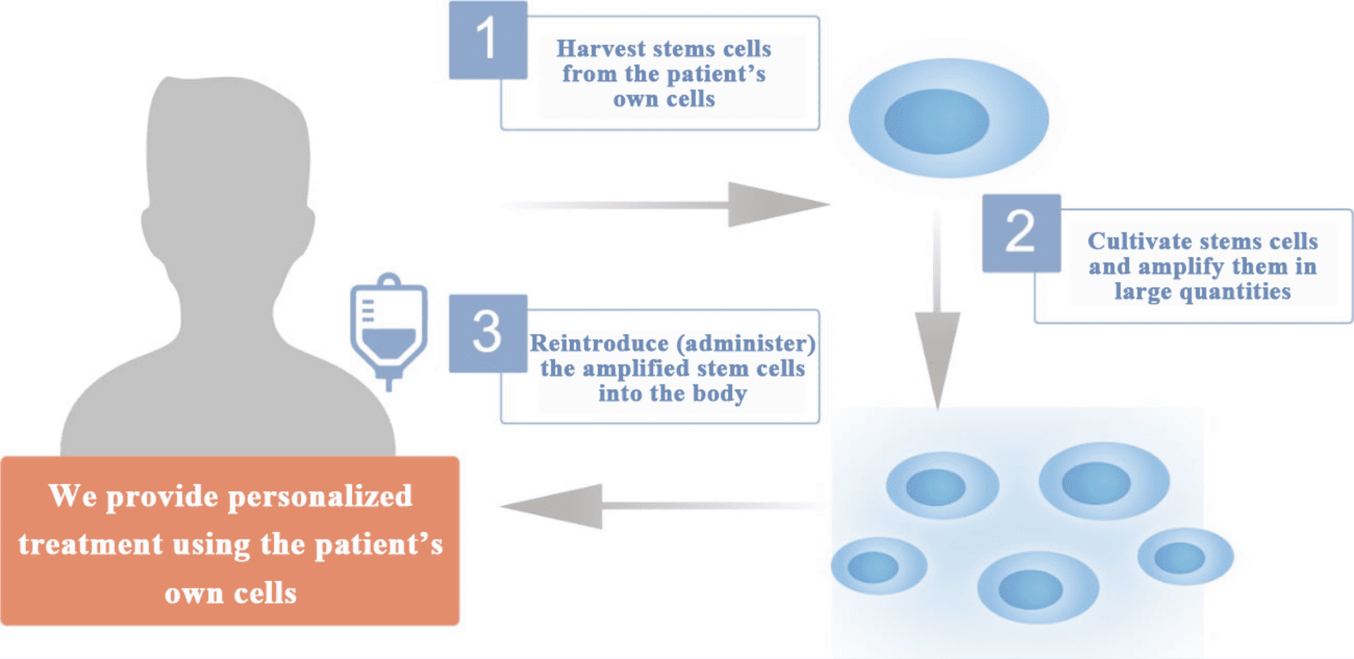1: Harvest stem cells from the patient's own cells. 2: Cultivate stem cells and amplify them in large quantities. 3: Reintroduce (administer) the amplified stem cells into the body. We provide personalized treatment using the patient's own cells.
