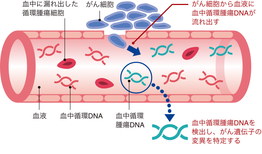 リキッドバイオプシーとは？の説明図