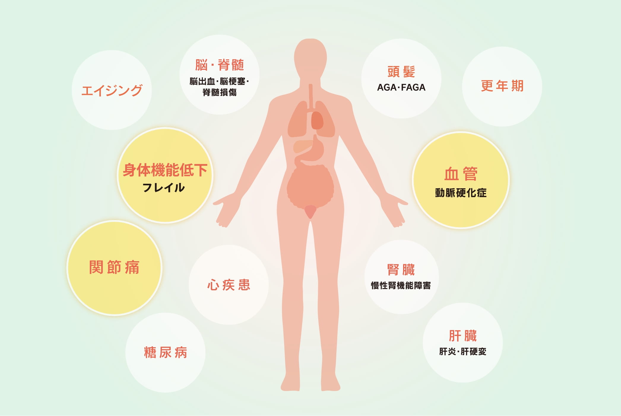 幹細胞治療の可能性