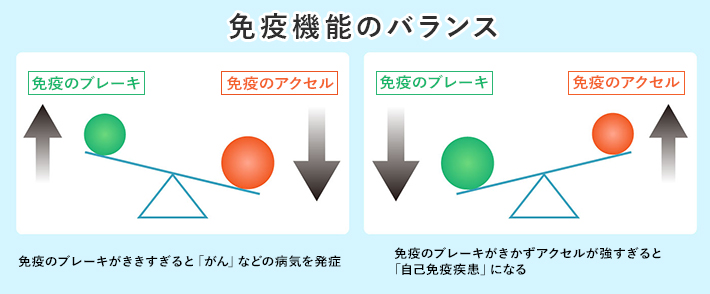 免疫機能のバランス 免疫のブレーキ 免疫のアクセル 免疫のブレーキがききすぎると、「がん」などの病気を発症 免疫のブレーキがきかずアクセルが強すぎると「自己免疫疾患」になる