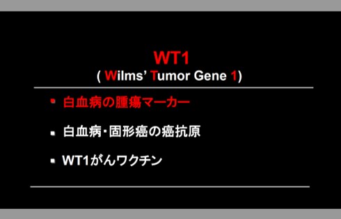 WT1 (Wilms´ Tumor Gene1) ・白血病の腫傷マーカー ・白血病・固形癌の癌抗原 ・WT1がんワクチン