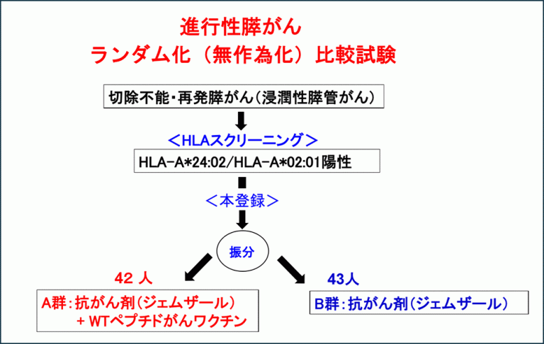 進行性膵がん ランダム化(無作為化)比較試験のフロー図