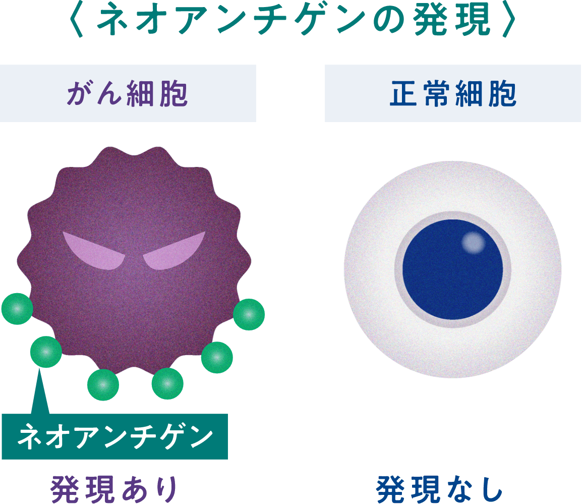 ネオアンチゲンの発現イメージ