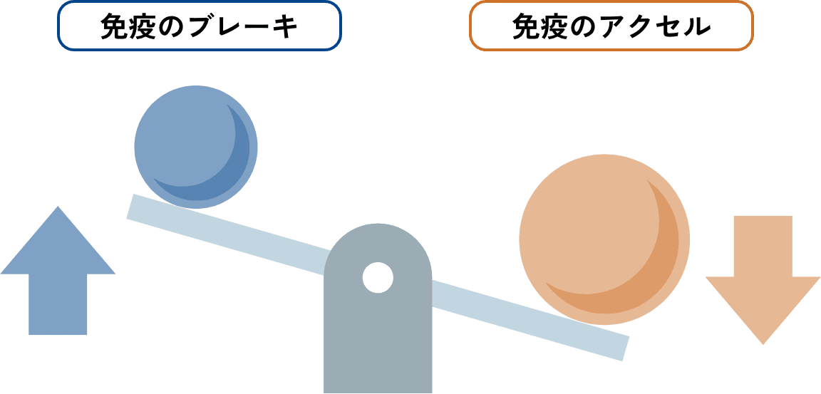 免疫機能のバランスのイメージ