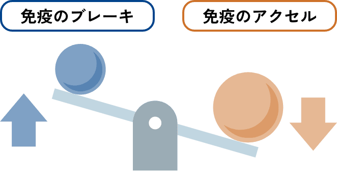 免疫機能のバランスのイメージ