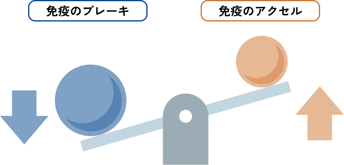 免疫機能のバランスのイメージ