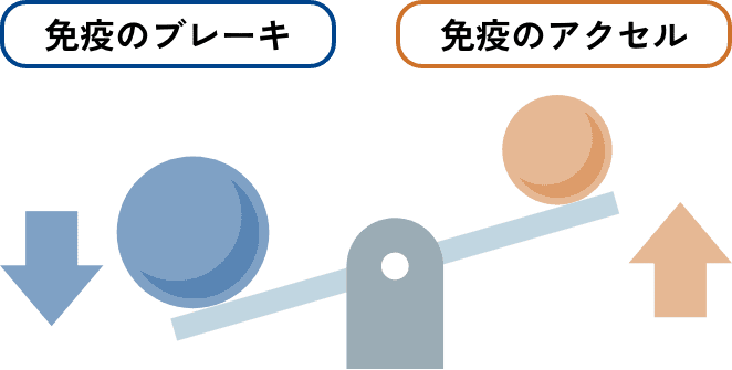 免疫機能のバランスのイメージ
