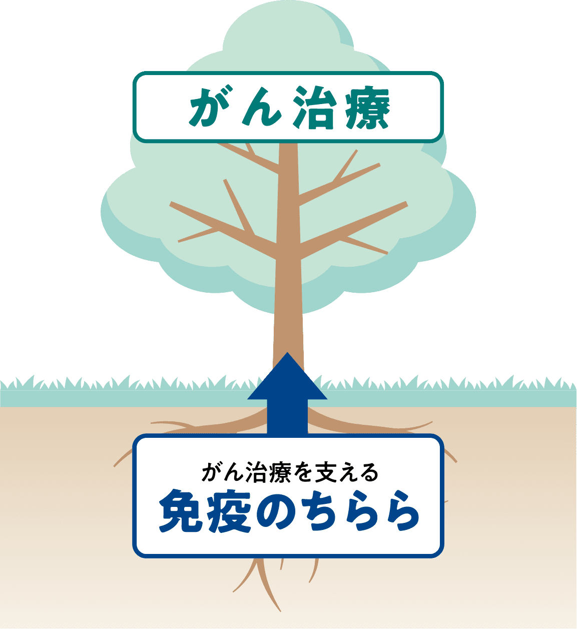 免疫のちからイメージ