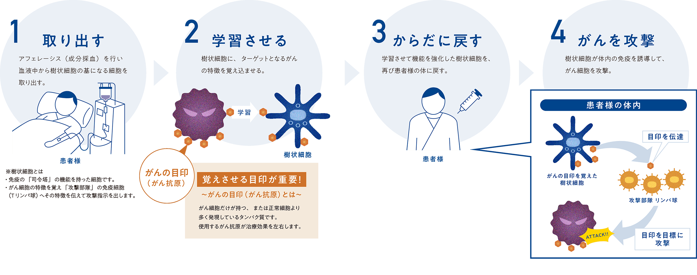 樹状細胞ワクチン療法のしくみの図