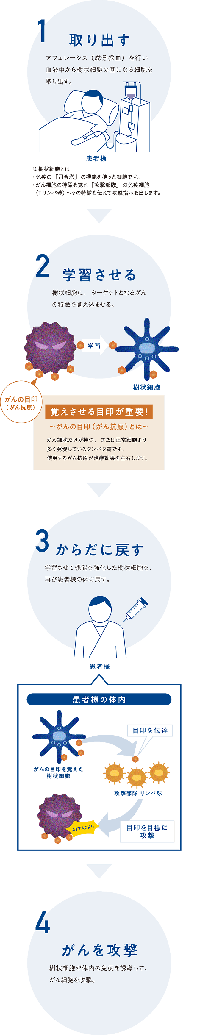 樹状細胞ワクチン療法のしくみの図
