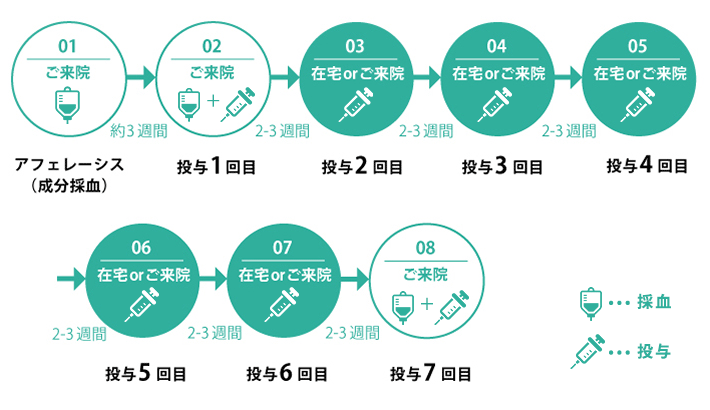往診での治療スケジュールイメージ