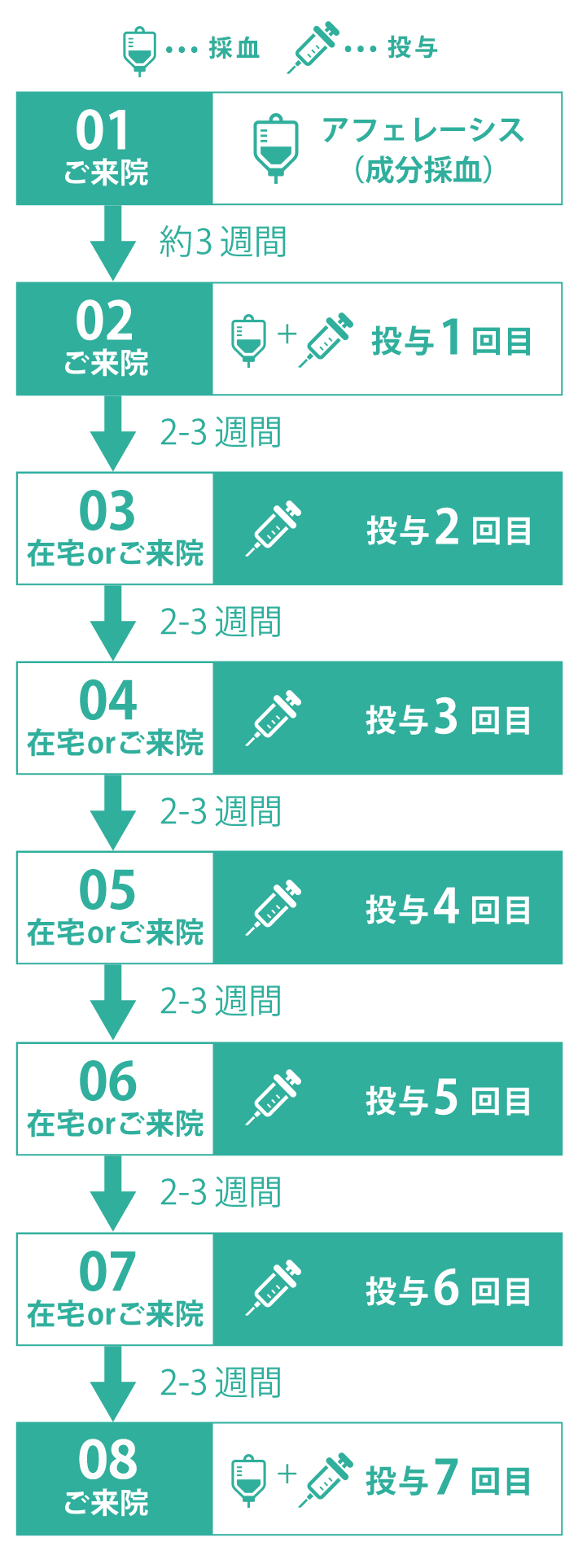 往診での治療スケジュールイメージ
