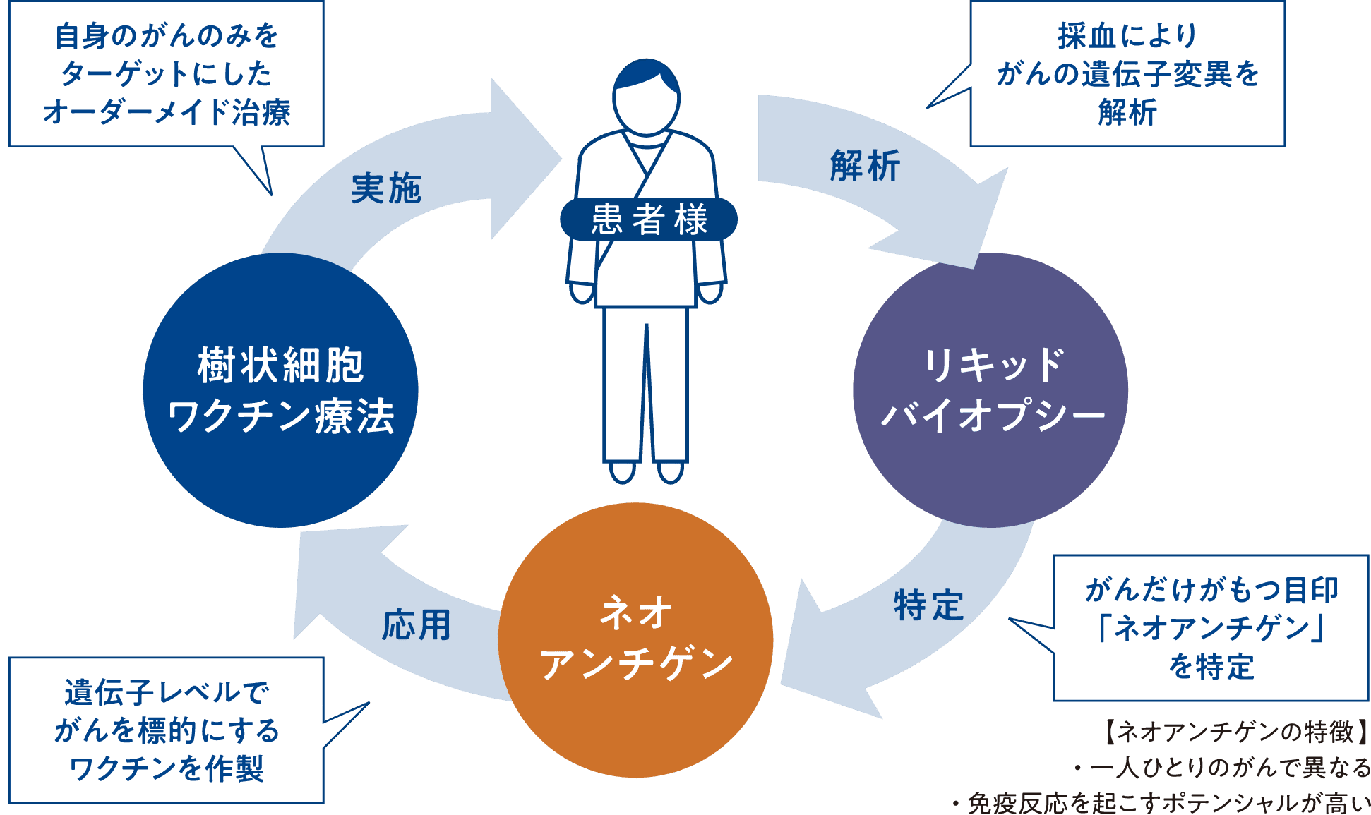 ネオアンチゲン樹状細胞ワクチン療法についての図