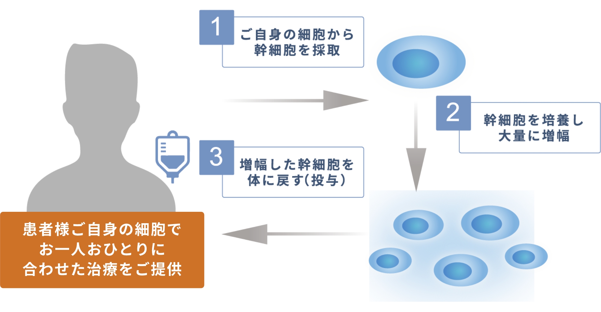 患者様ご自身の細胞でお一人おひとりに合わせた治療をご提供