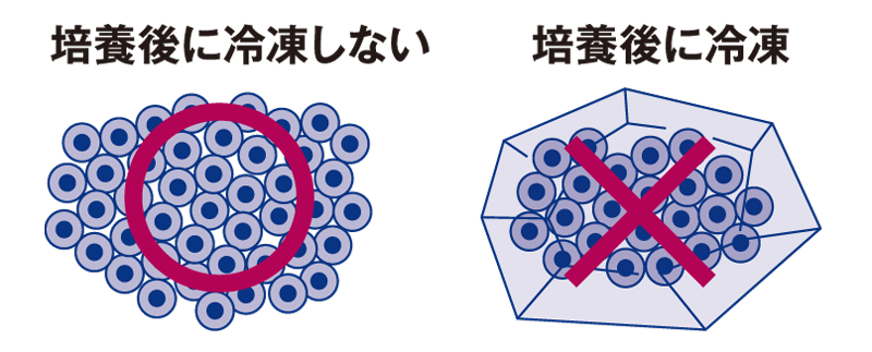 「生の幹細胞」の図